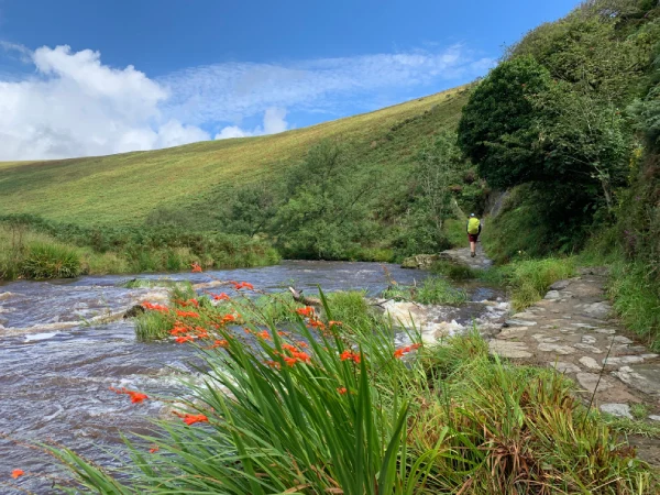 Devon