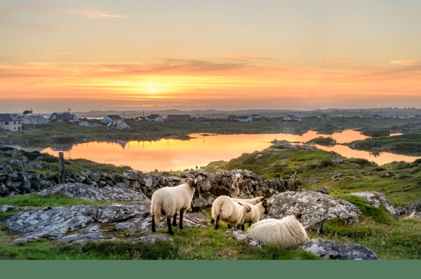 Irish Midlands and Lakeland